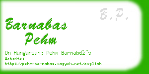 barnabas pehm business card